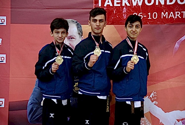 Poomse Taekwondo Türkiye Şampiyonası 2017 gorseli