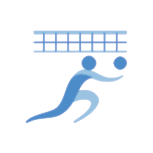 Voleybol ikonu